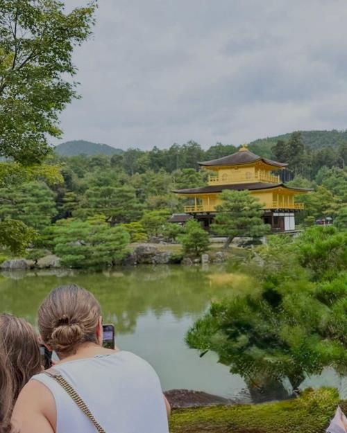 Survals Japan Cultural Discovery Tour